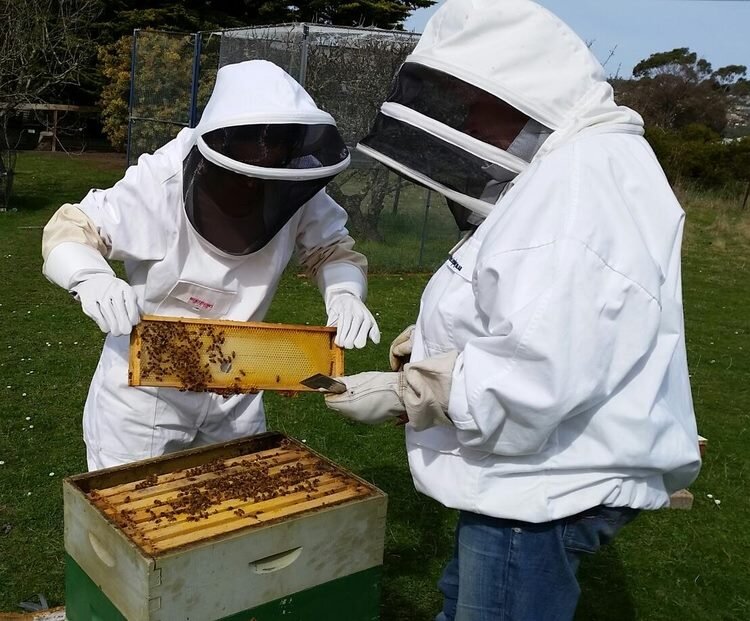 Shop — Natural Beekeeping Tasmania