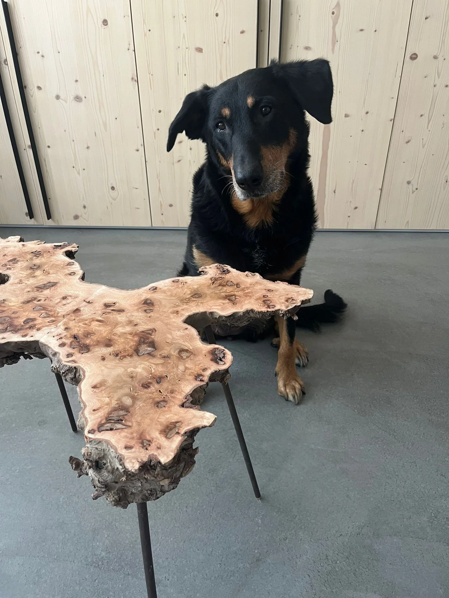  realisatie: EEMAN BIS 