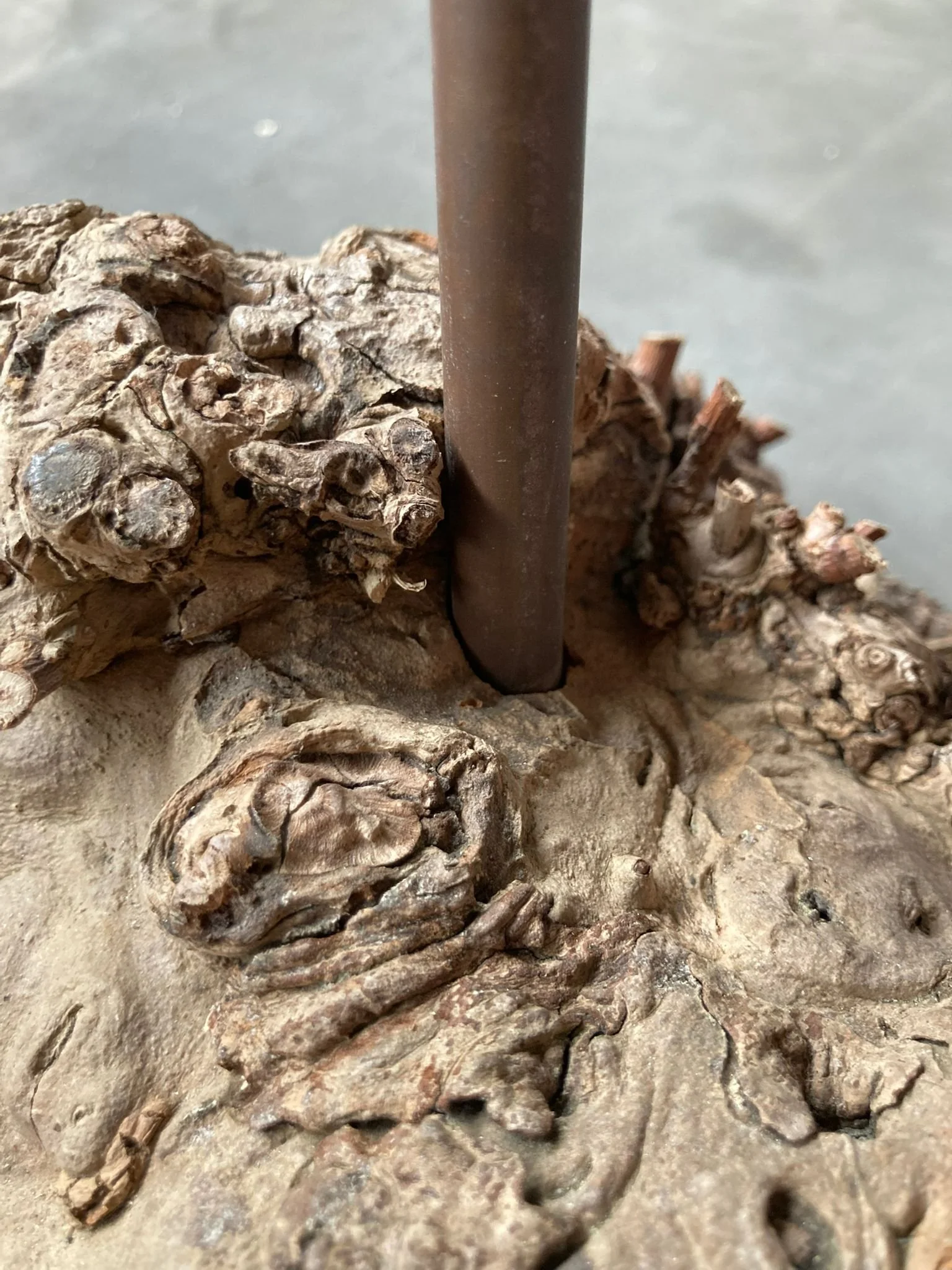  realisatie: EEMAN BIS 