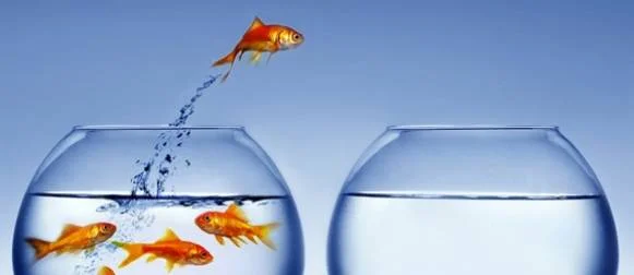 Please tell me...If I have a better price elsewhere, why should I stay?