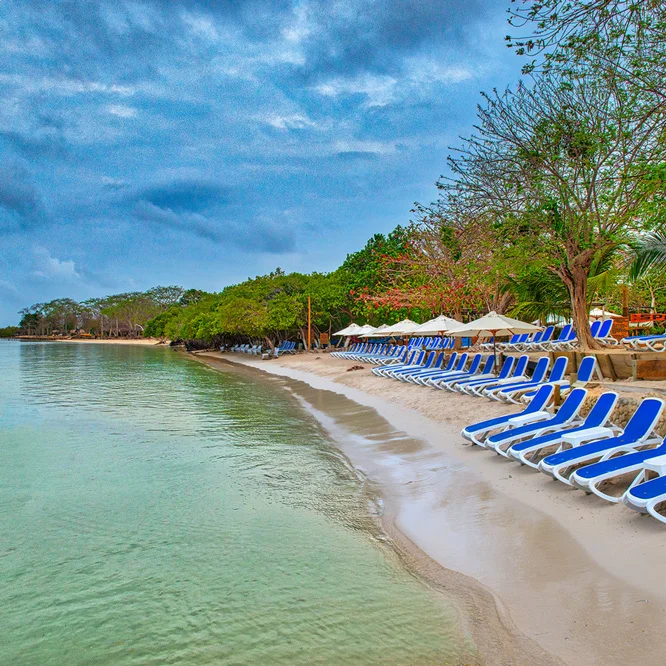 Playa-Daytour.jpg