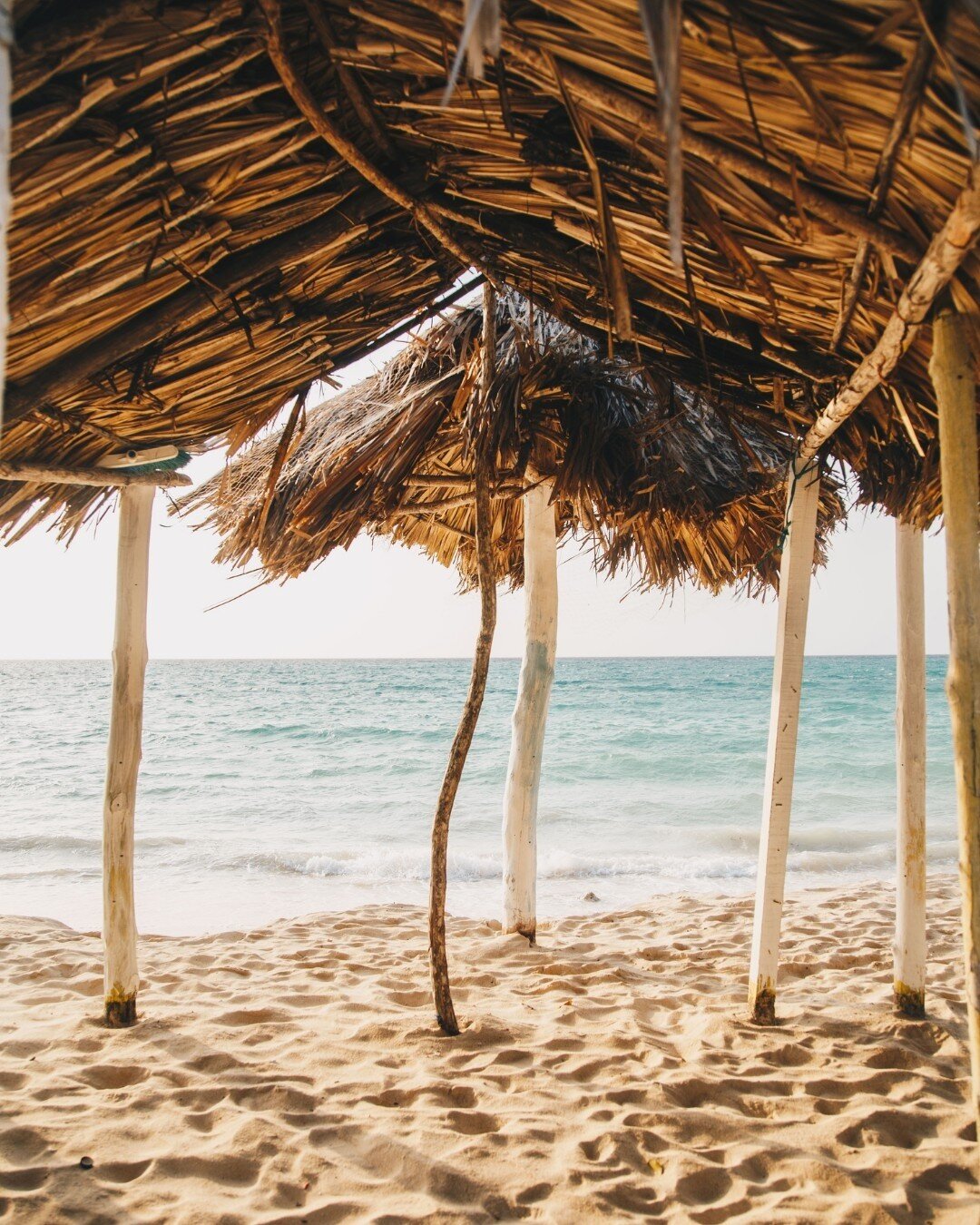 &ldquo;Let the waves hit your feet, and the sand be your seat.&rdquo;
Book our villa at https://airbnb.com/h/casa-cartagena or by contacting +57 321 518 3868

#casalacartujita #privatevilla #luxuryvilla #luxuryvillacartagena #privatevillacartagena #d