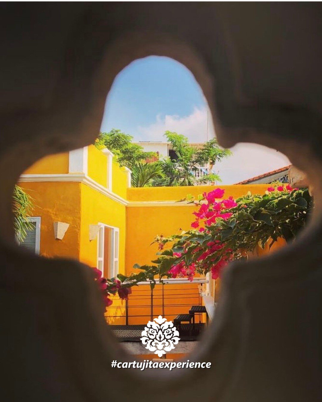 We love seeing the house from your perspective! 👀 Thank you so much @lizishiiban for the beautiful picture! 📸

Check out our 7 room boutique villa at https://airbnb.com/h/casa-cartagena and book your stay with us!

#casalacartujita #privatevilla #t