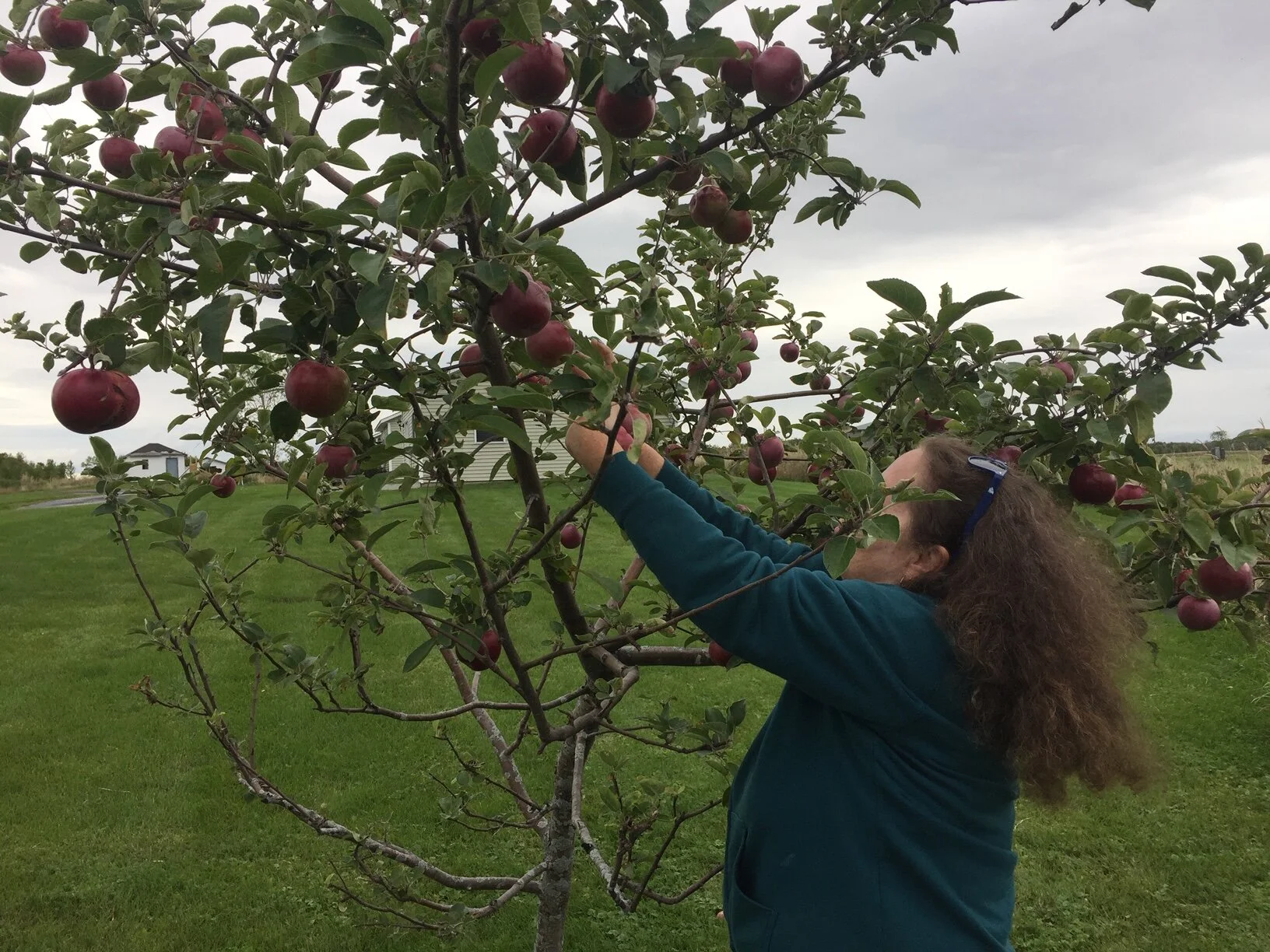 Come and enjoy Harvest and Foliage Season in Vermont!