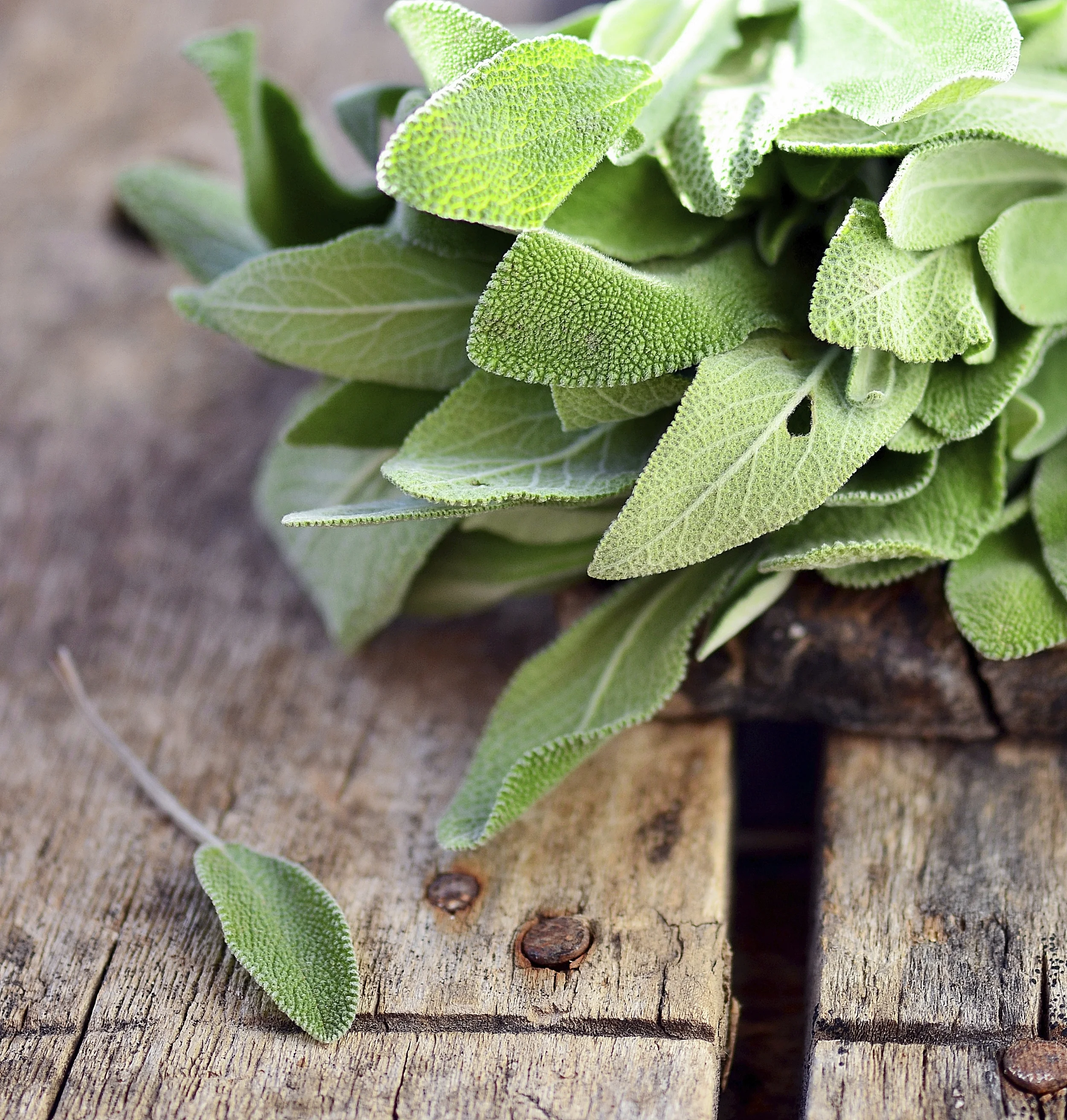 Give Me Some Of That Ol' Time....