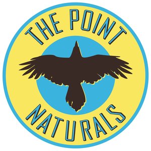 The Point Naturals & Converging Waters Shamanic & Energy Services