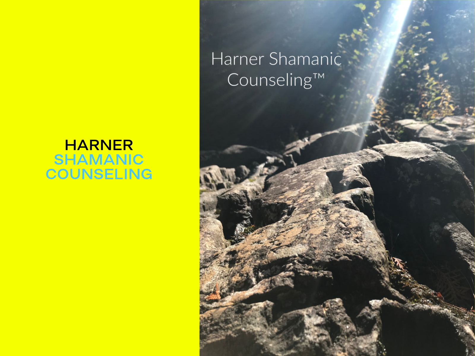 shamanic counseling web.png