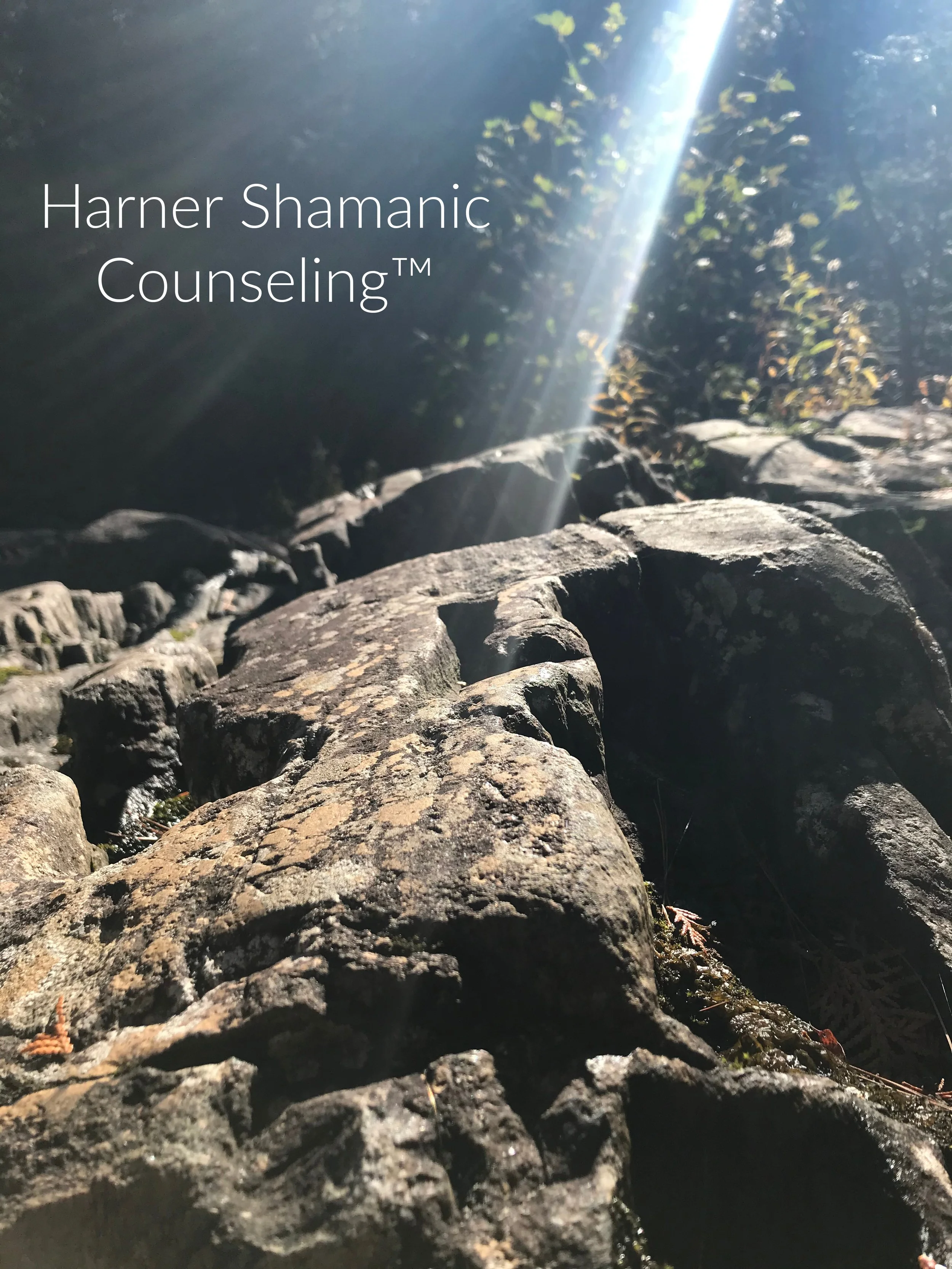 Harner Shamanic Counseling.jpg