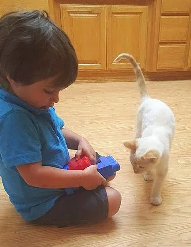Jake, adopted March 2016