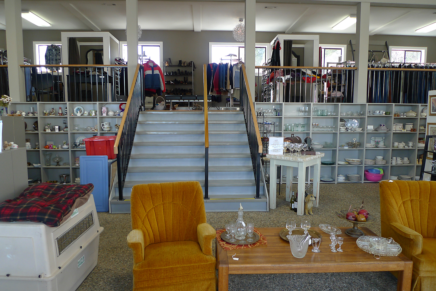 P1040697web.jpg