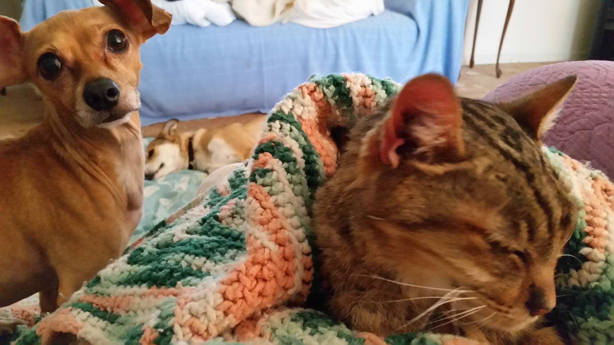 B & C with her friends