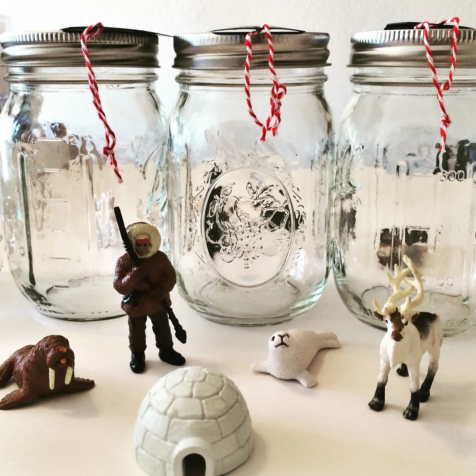 Craft: Snow Globe