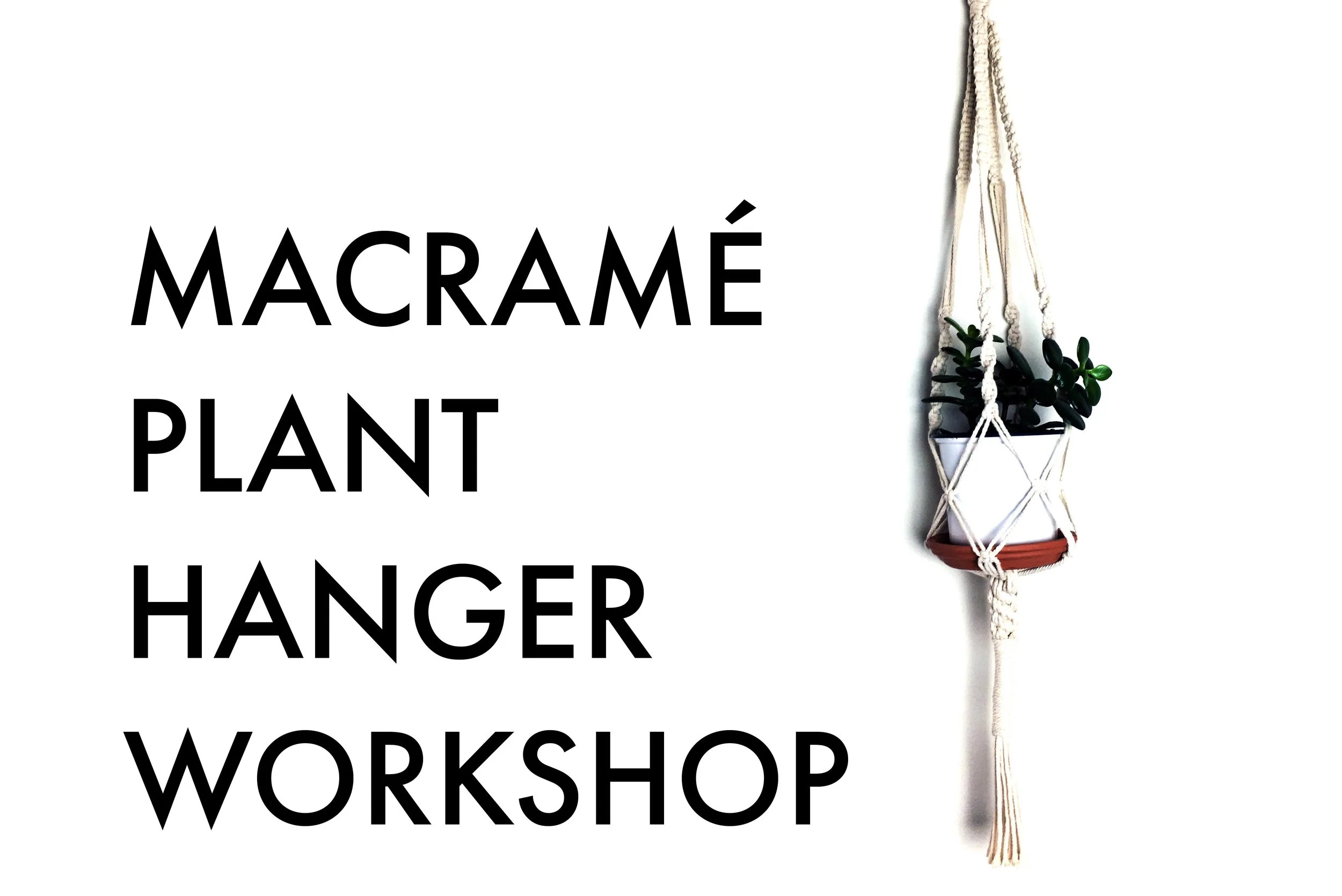 Event Image Distill_Macramé Plant Hanger Workshop.jpg
