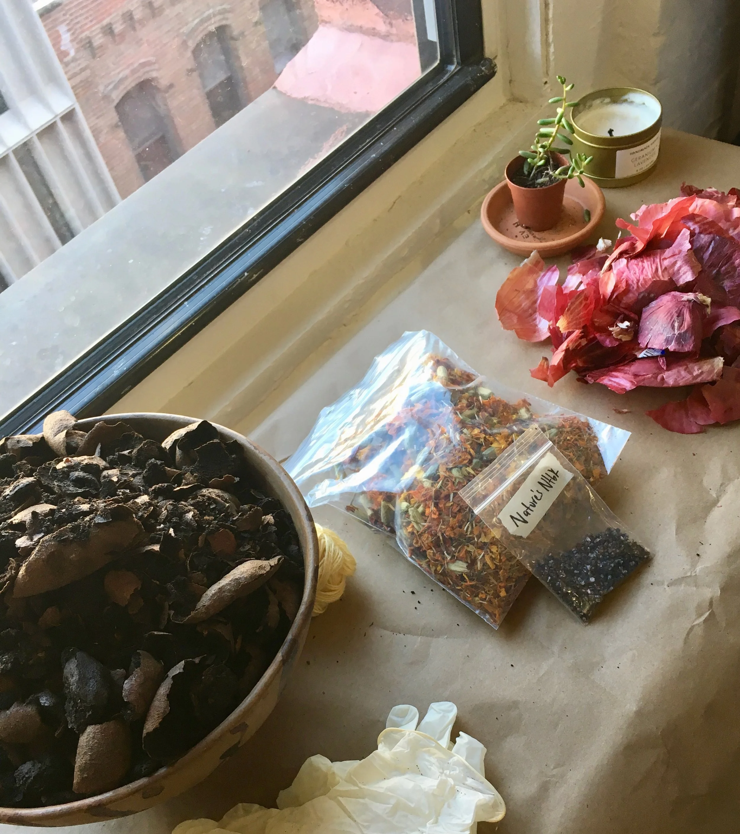 Nature'sNotebook_1.26.19_Natural-Dye - 1.jpg