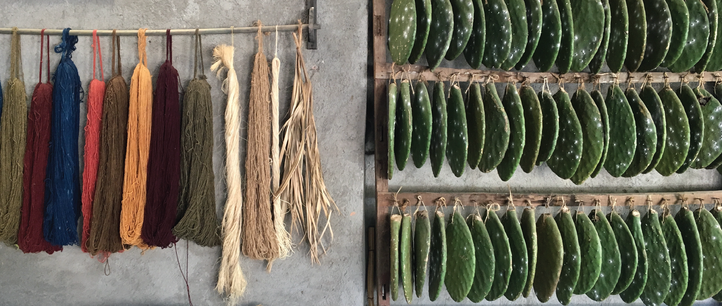 Oaxaca Weaving Studio.png