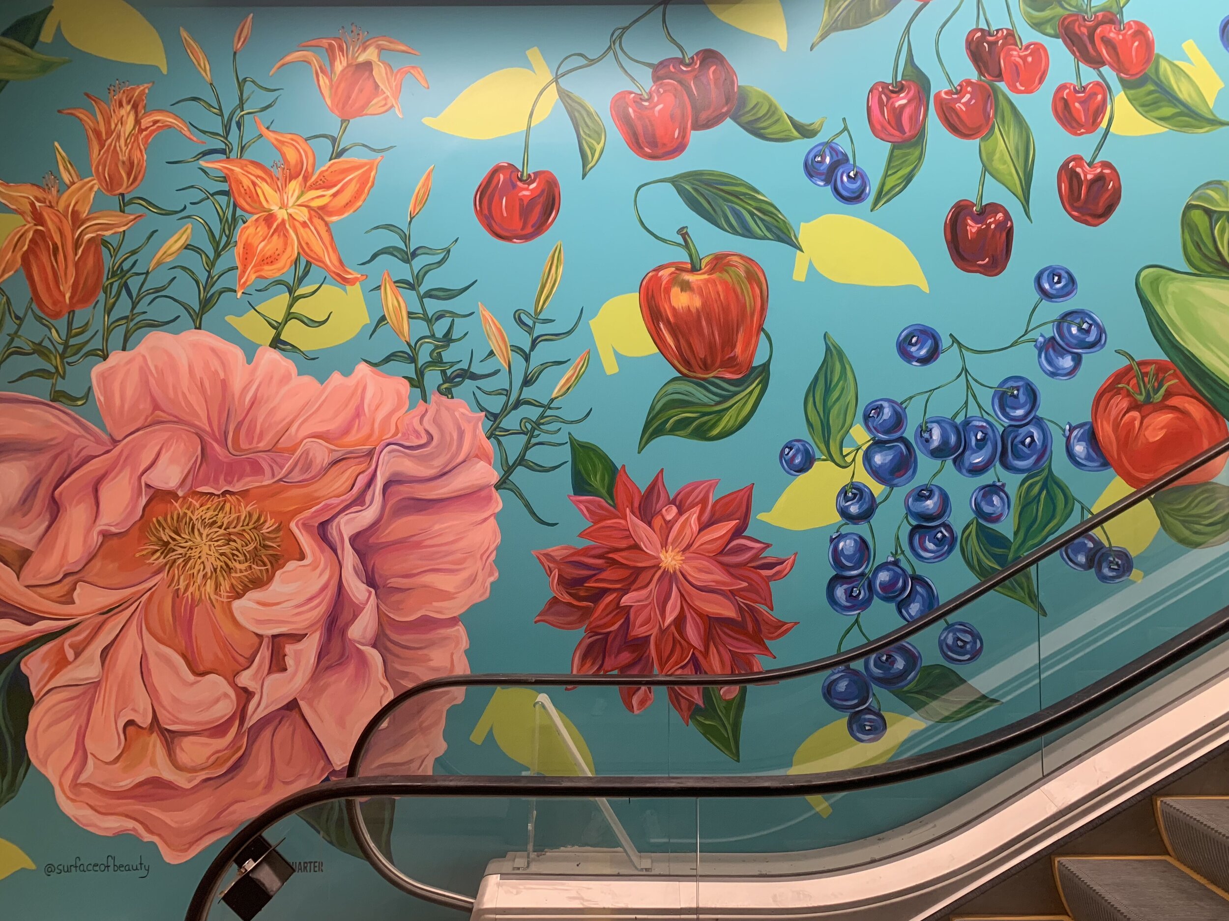 Interior Mural by Natasha May Platt at Ballston Quarter Mall
