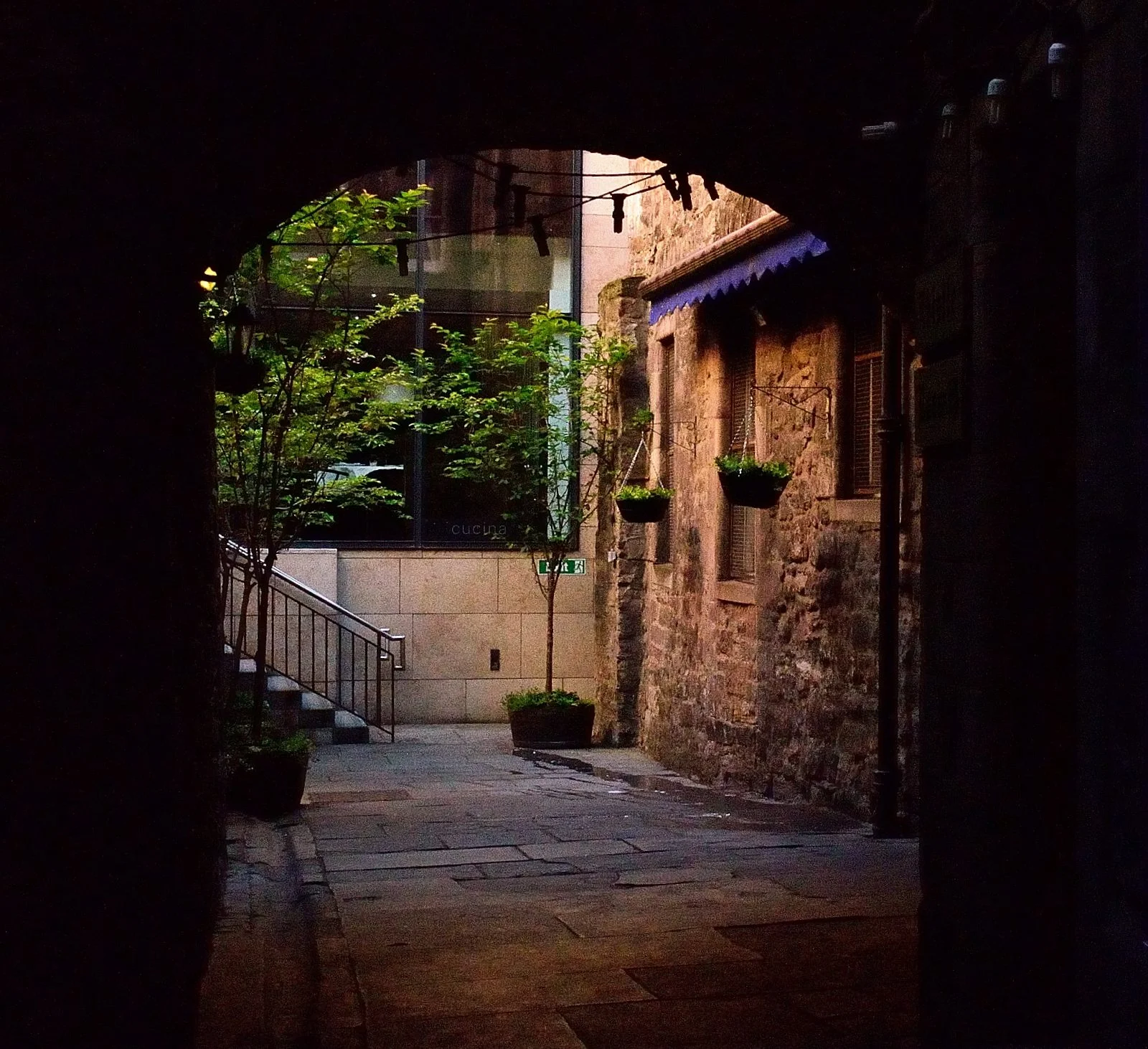 DSC_1270_pp1.JPG