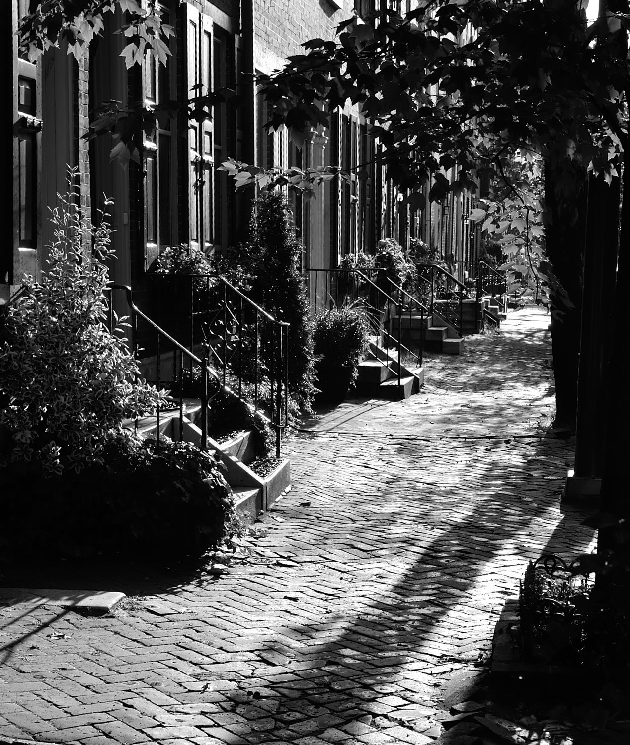 DSC_12703_p1.JPG