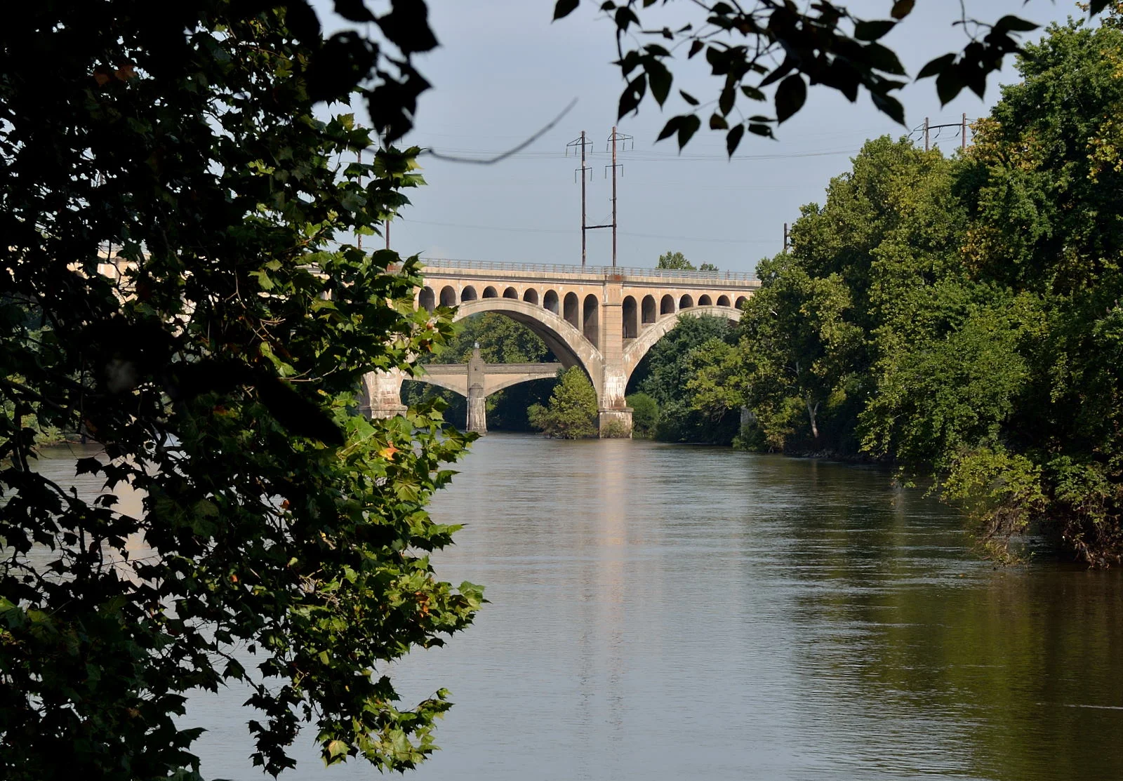 D5100_17340_p1.JPG