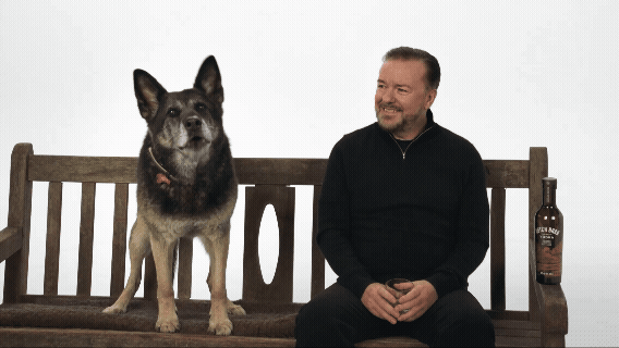 DUTCH (1).gif