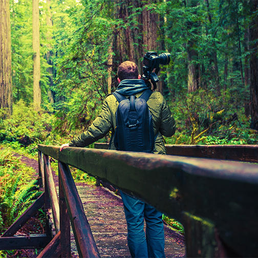 the frame, and pay closeattention to what we are capturing in the background. We examine a variety of genres, including location portraits and street photography, landscapes and cityscapes, and static and action scenes.