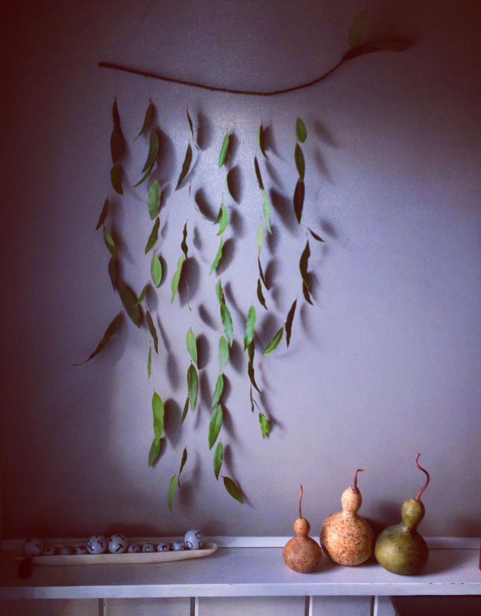 eucalyptus wall hanging 