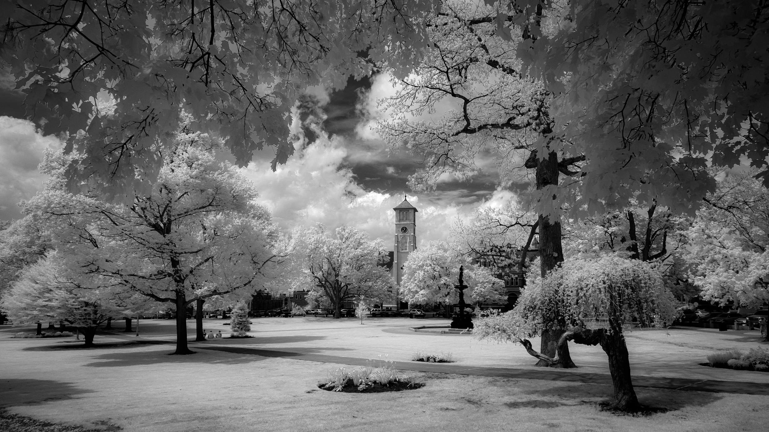 A walk in the park
