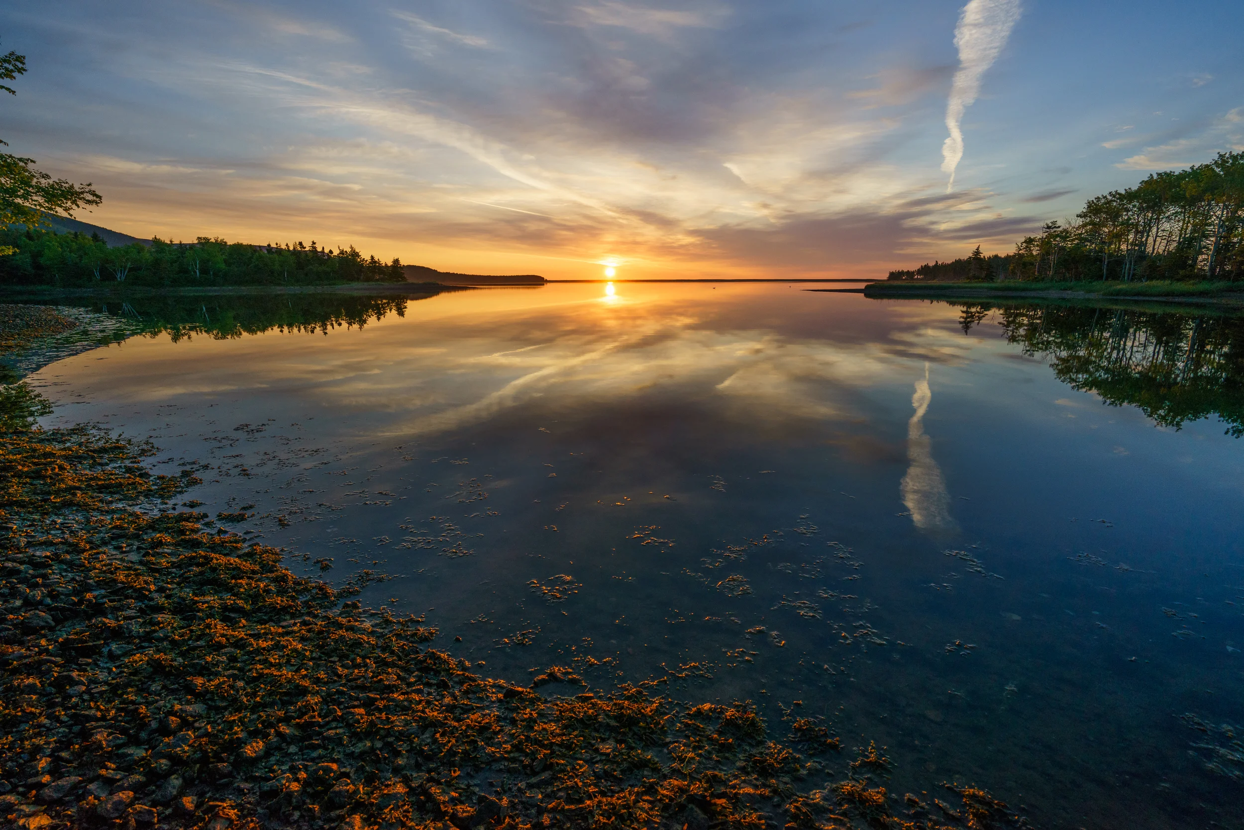 North Harbor reflections