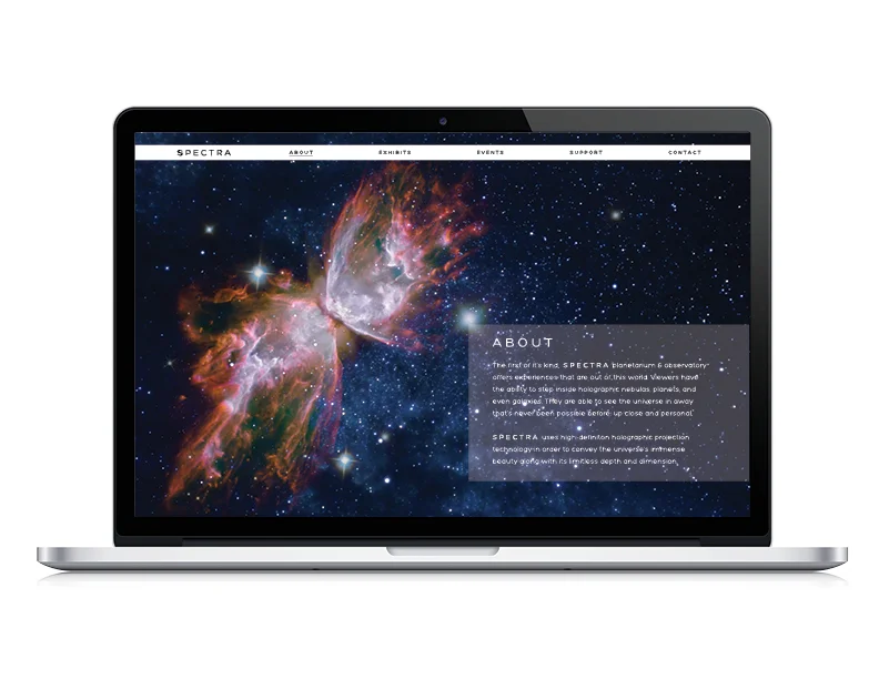 webdesign2_o.jpg