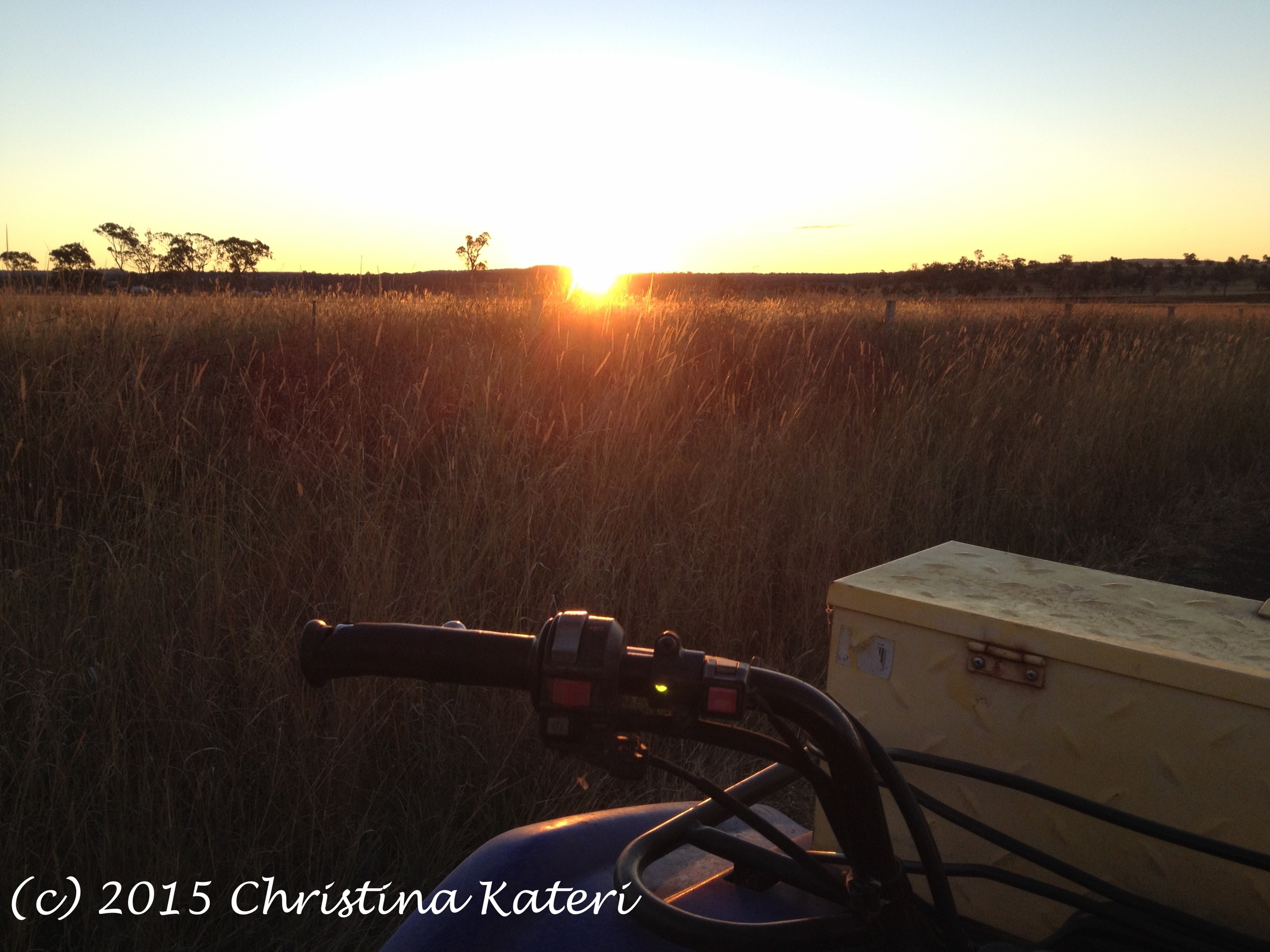  Evening ride around the farm on the quad. 