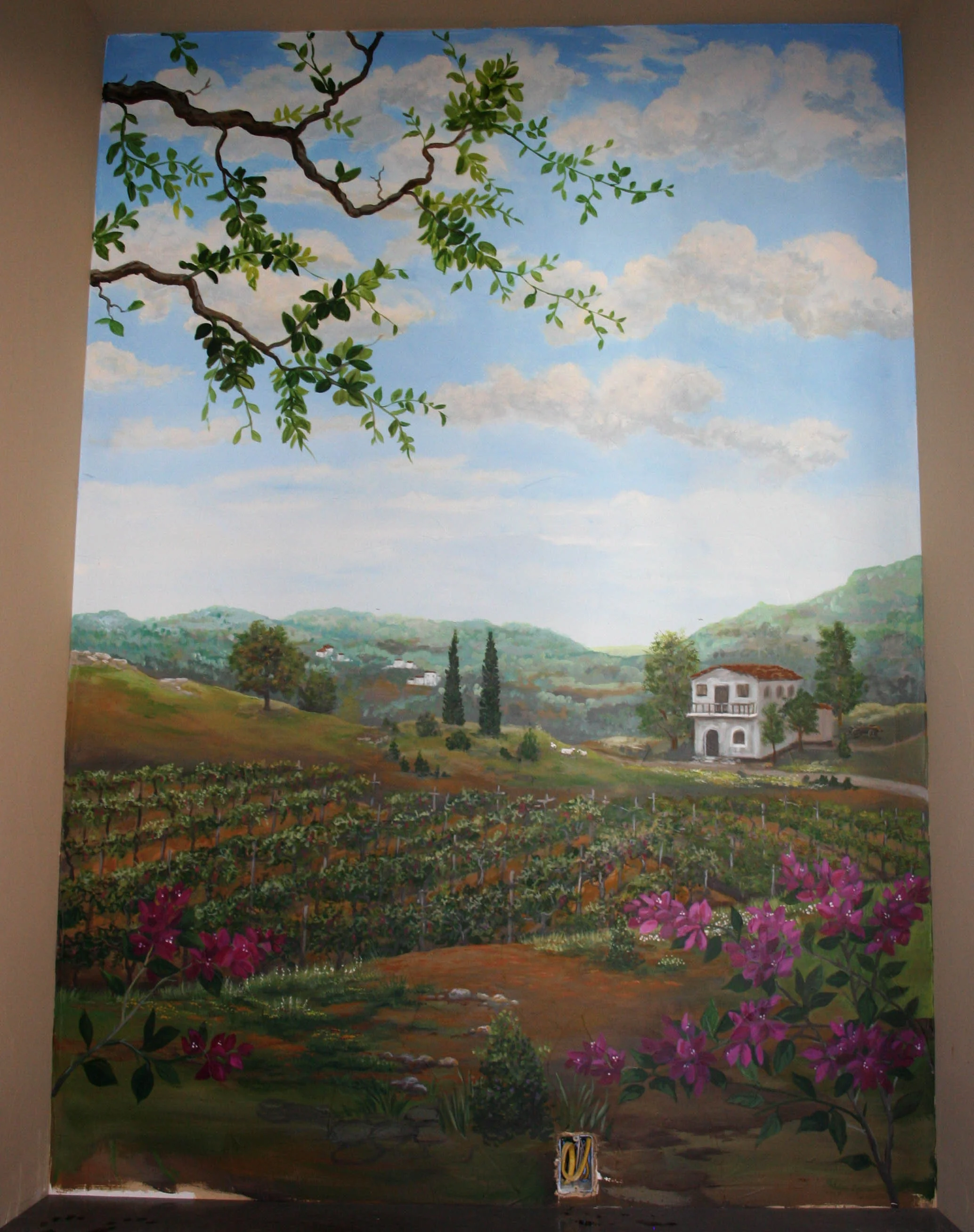 vinyard2.jpg