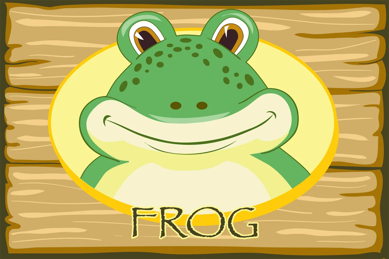 SCC_frog.jpg