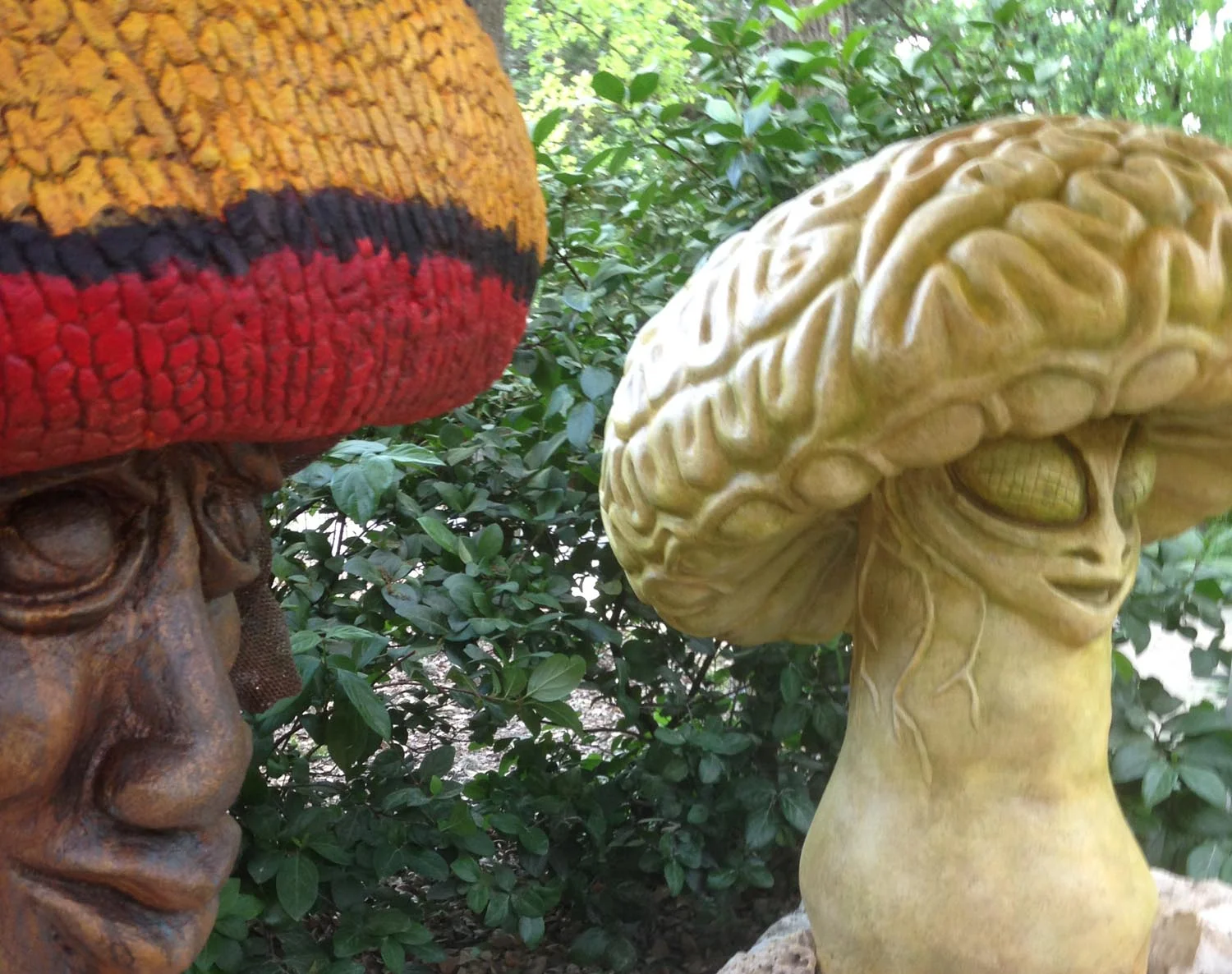 web_shroom_close.jpg