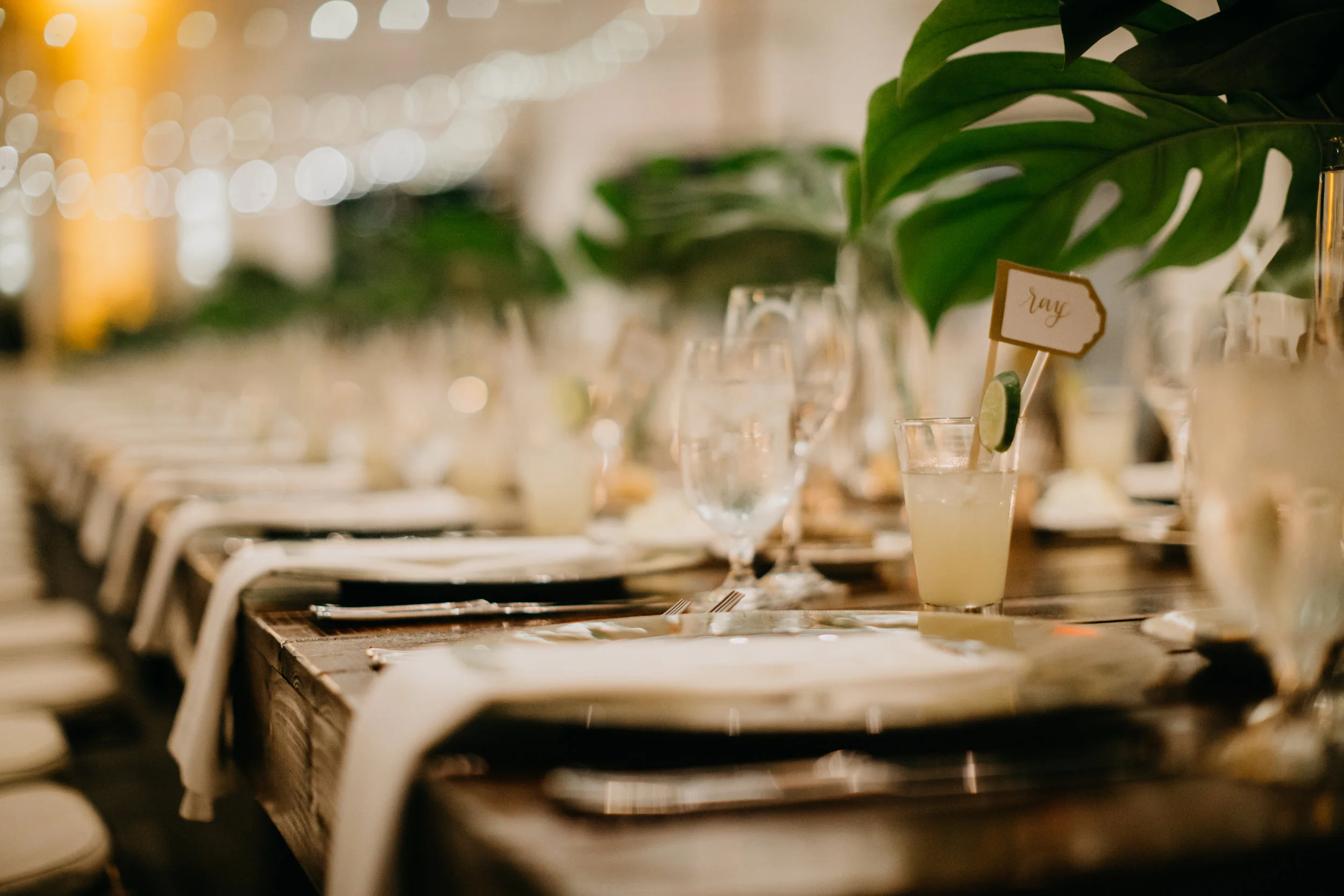 Kristy_Dan_Reception-204.jpg