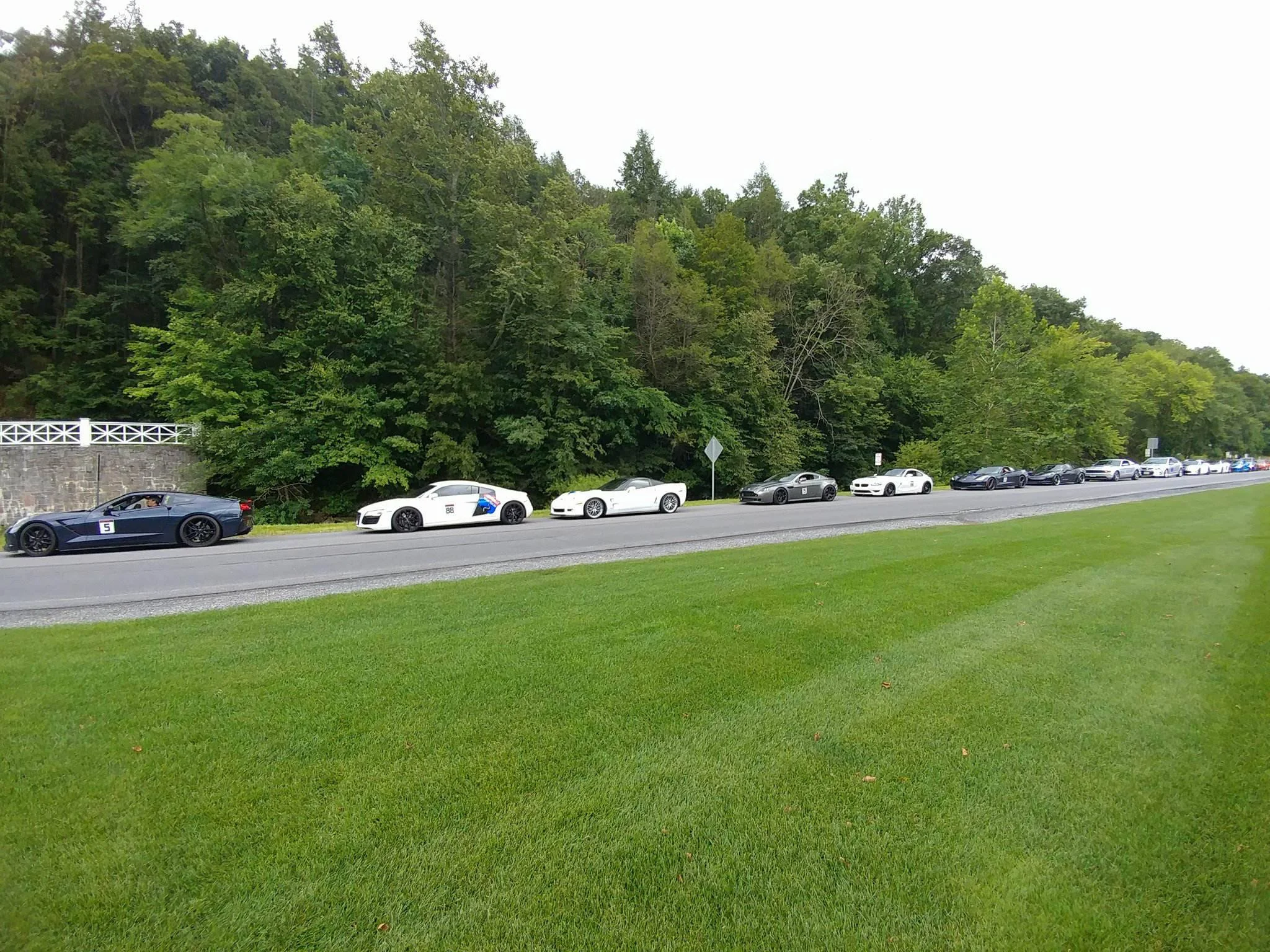 Omni lineup cars.jpg