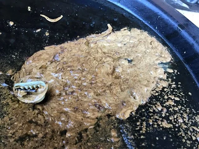 Coolant-Oil Sludge.jpg