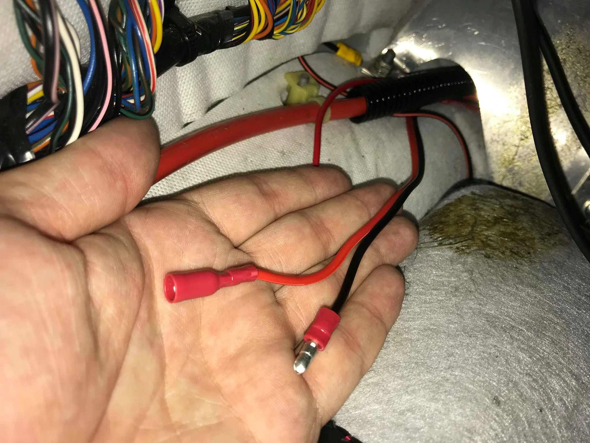 Red and Black from Front.jpg