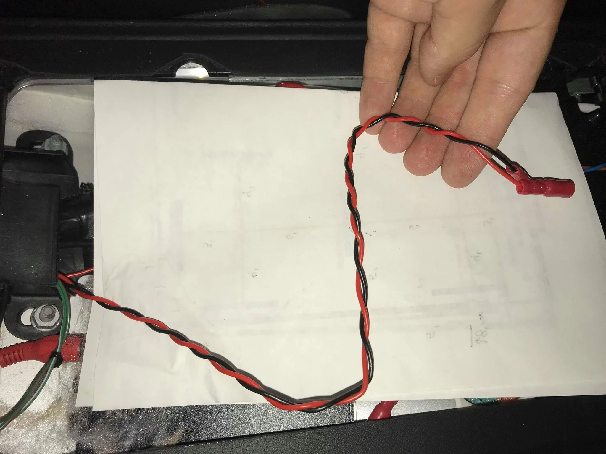 Twisted Pair from Rear.jpg