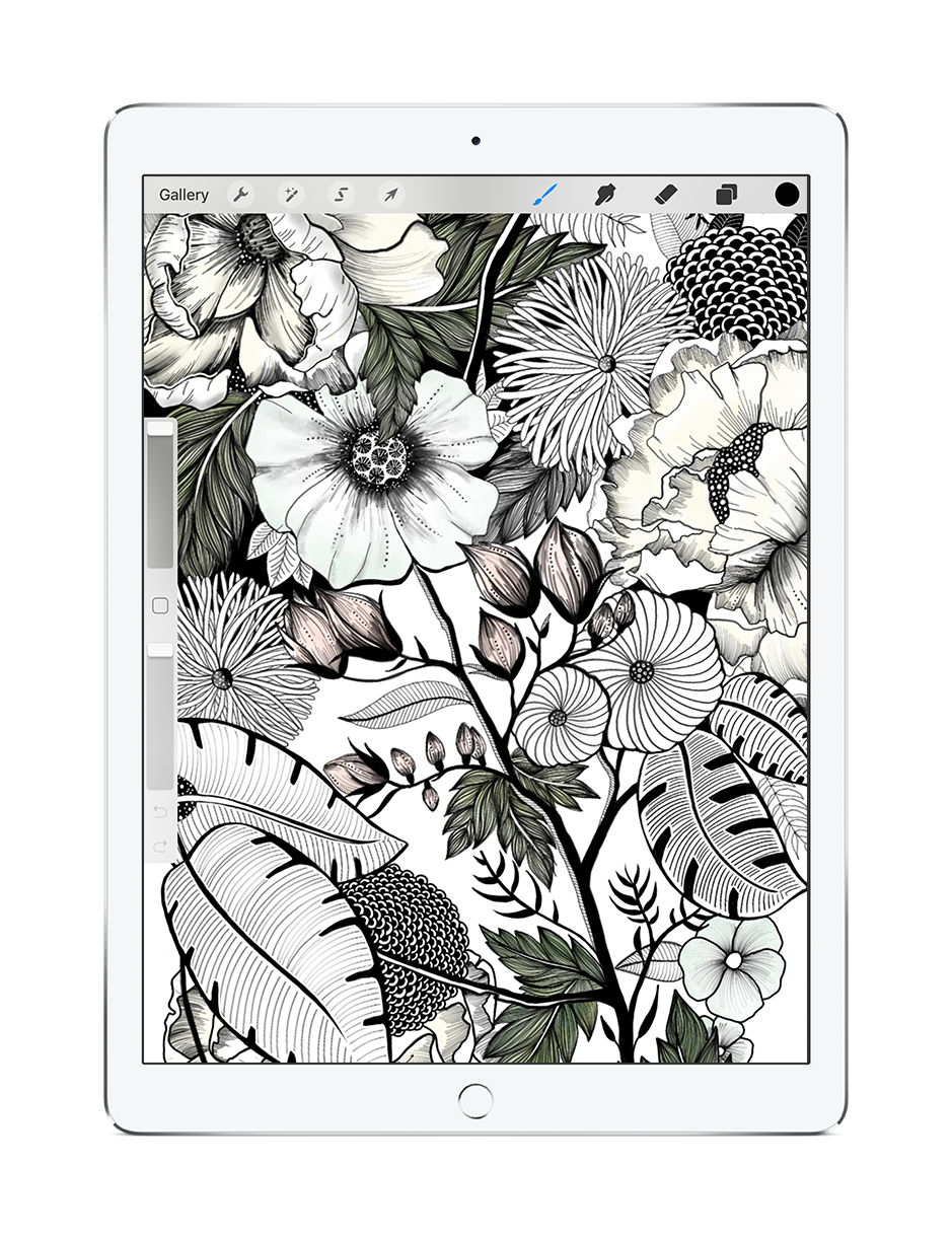 surface design of botanical and floral illustrations created on iPad and procreate, preferred digital illustration tools.