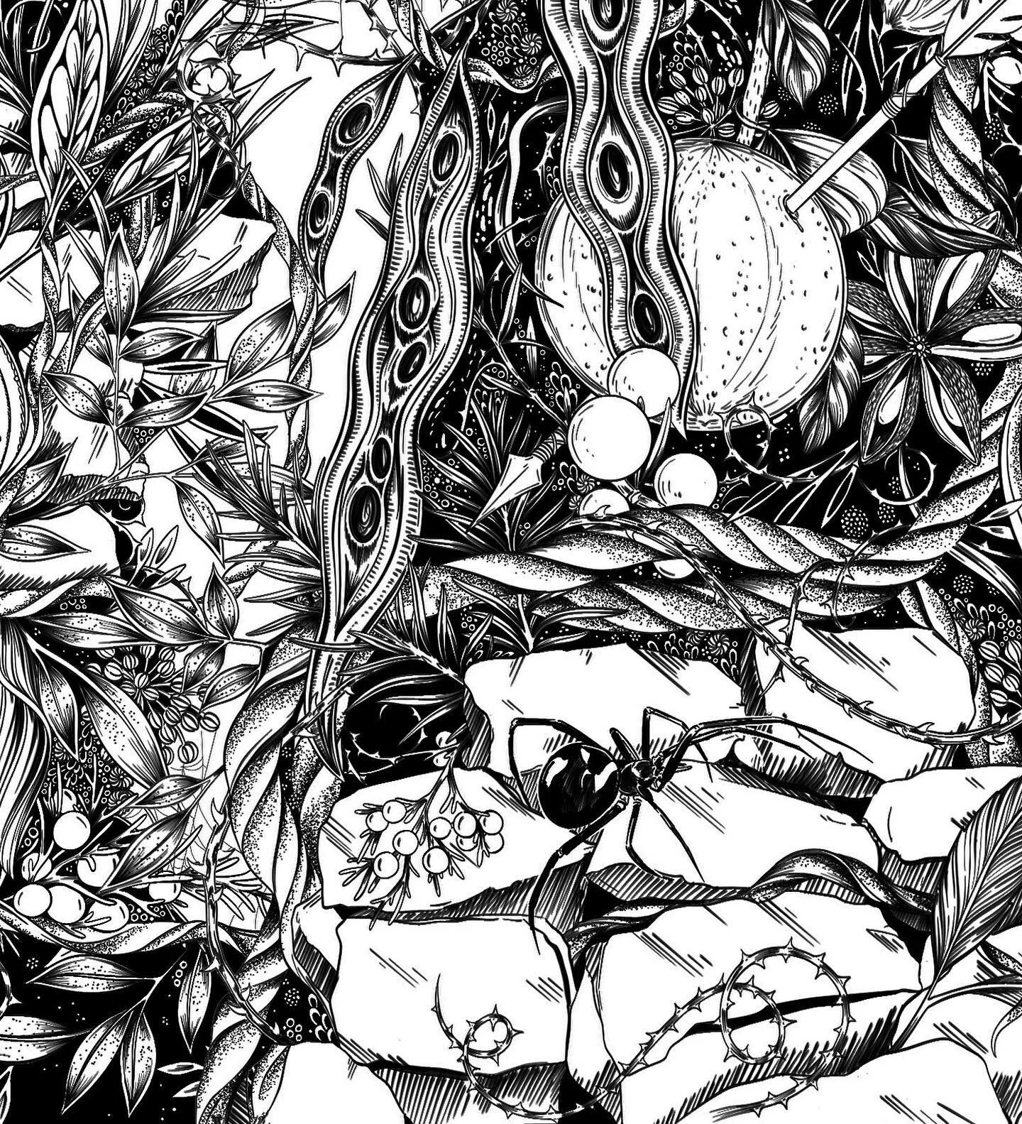 It&rsquo;s spooky season 🕸🕷🖤