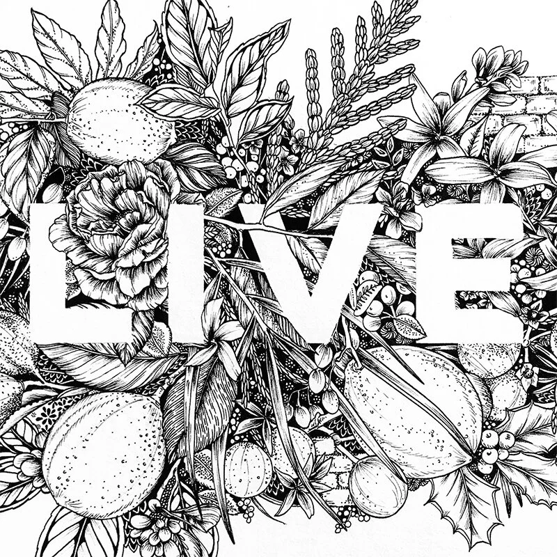 Maggie Enterrios illustrator botanical littlepatterns__0000s_0002_IMG_1831 2.jpg