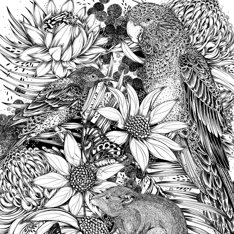 Maggie Enterrios illustrator botanical littlepatterns__0000s_0001_242895B0-CDA6-4E5D-9531-FE774756853B.jpg