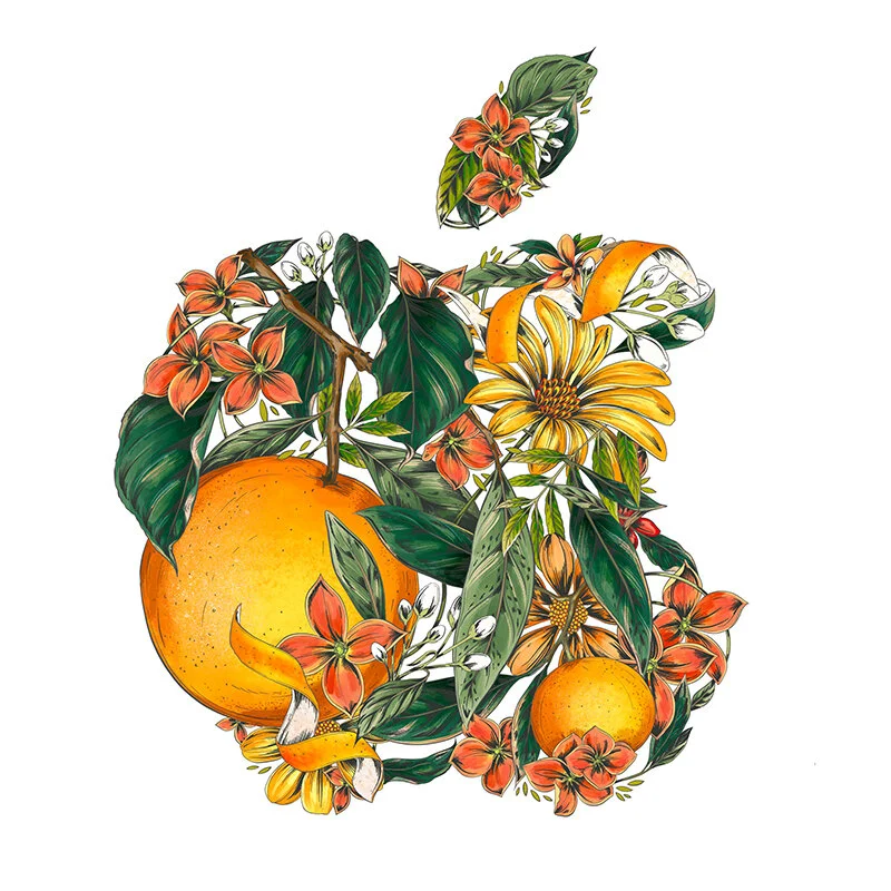 Botanical Illustrator littlepatterns__0000s_0010_apple-maggieenterrios.jpg