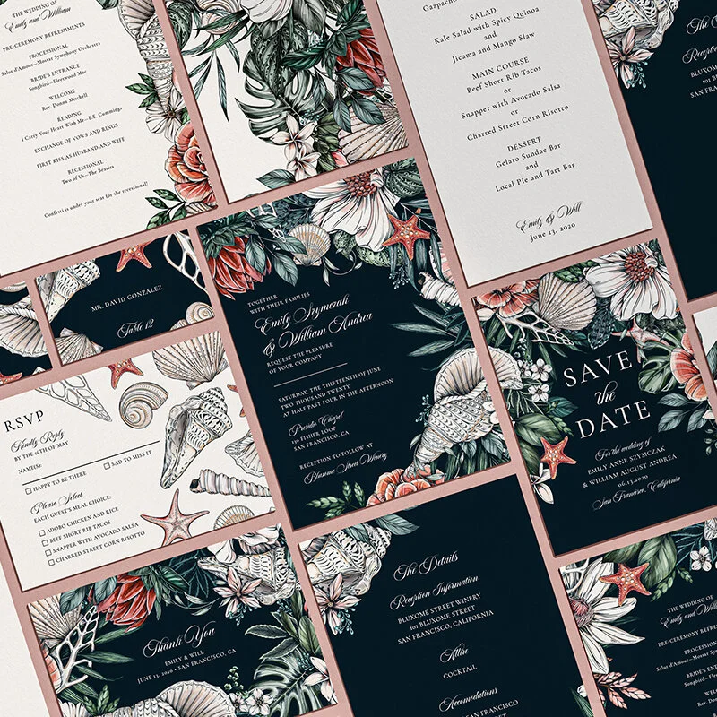 Botanical Illustrator littlepatterns__0000s_0007_Maggie Enterrios Thumb-Beach.jpg