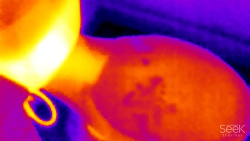 Thermal imagine discovered an usual problem with the toilet.