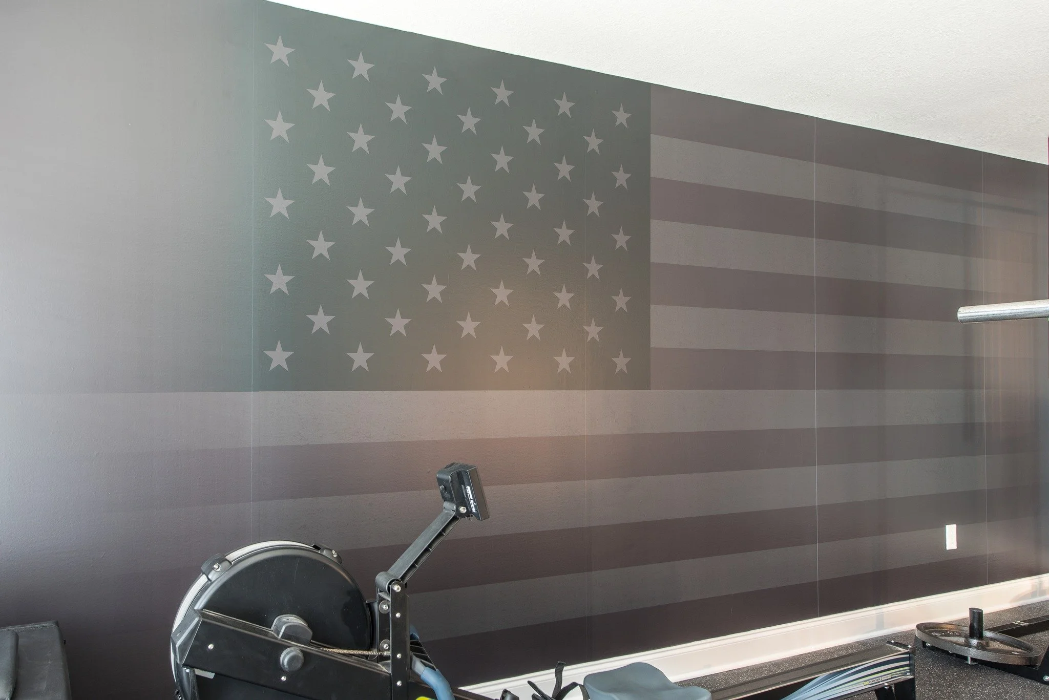 It doesn't get much more "American" than this basement gym, bonus room, and office. 🇺🇸😆 Happy 4th!

This was my clients' dream - a classic Southern basement with some country and state pride, hunting trophies and saddle on display, a spa