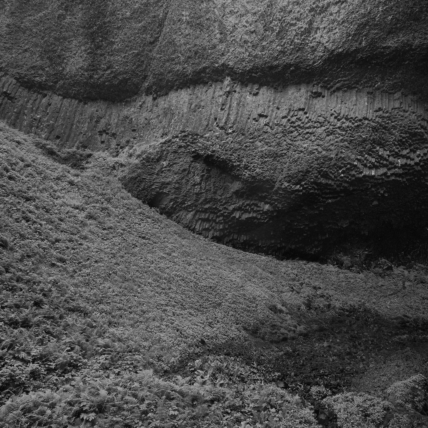 Pictures-Set1-Image1.jpg
