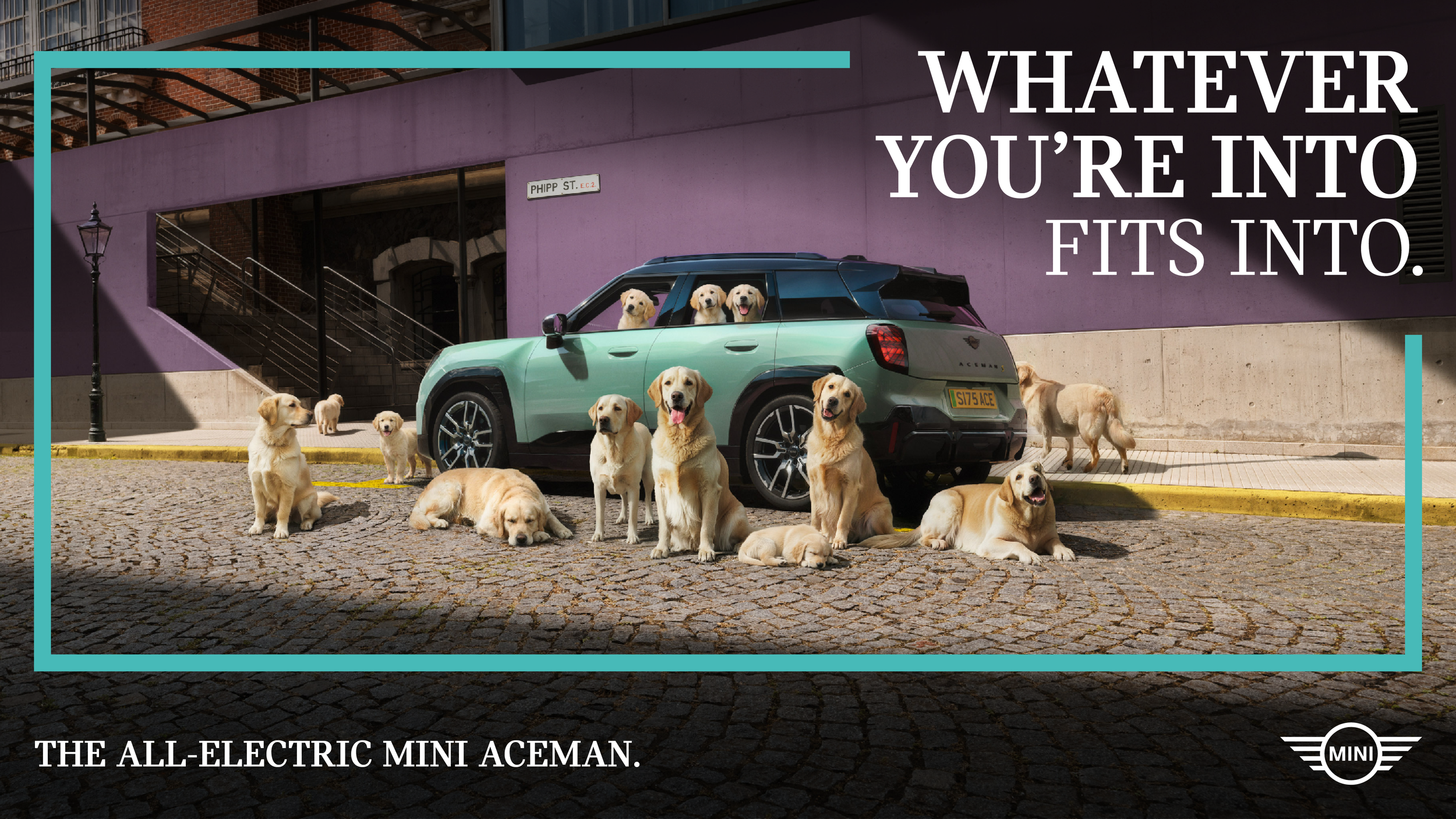 Whatever you’re into Fits into.png