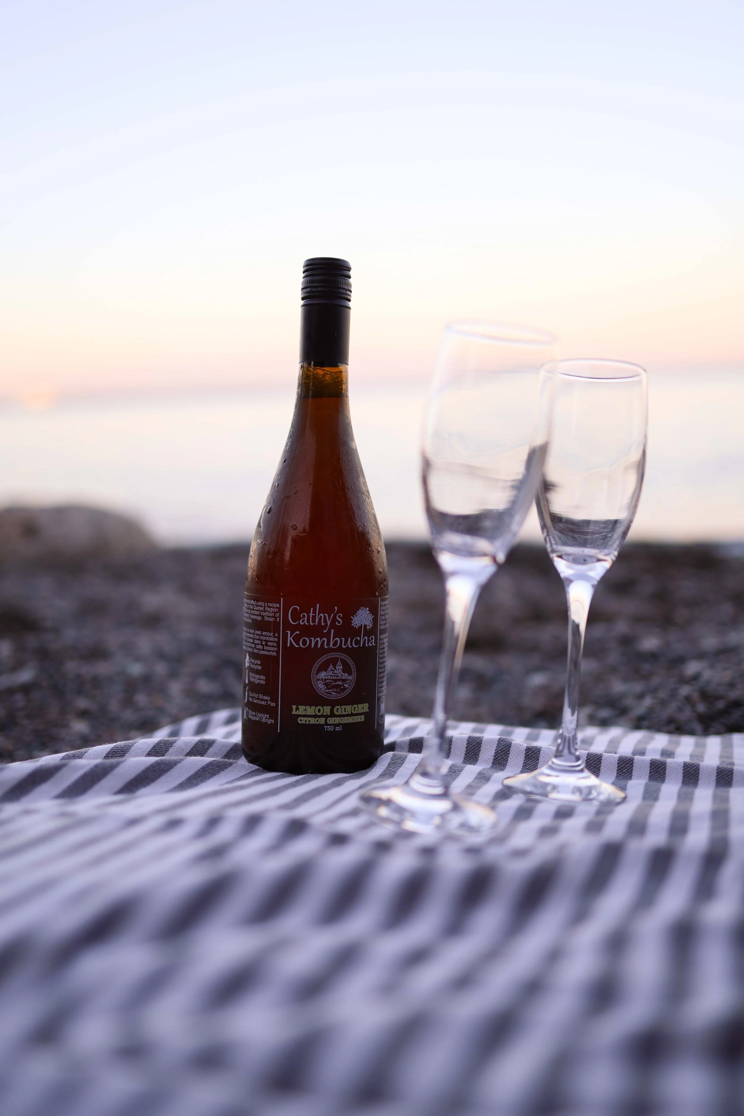 Humber Bay engagement photoshoot, Etobicoke — lakefront couples photography by Makacek Studios