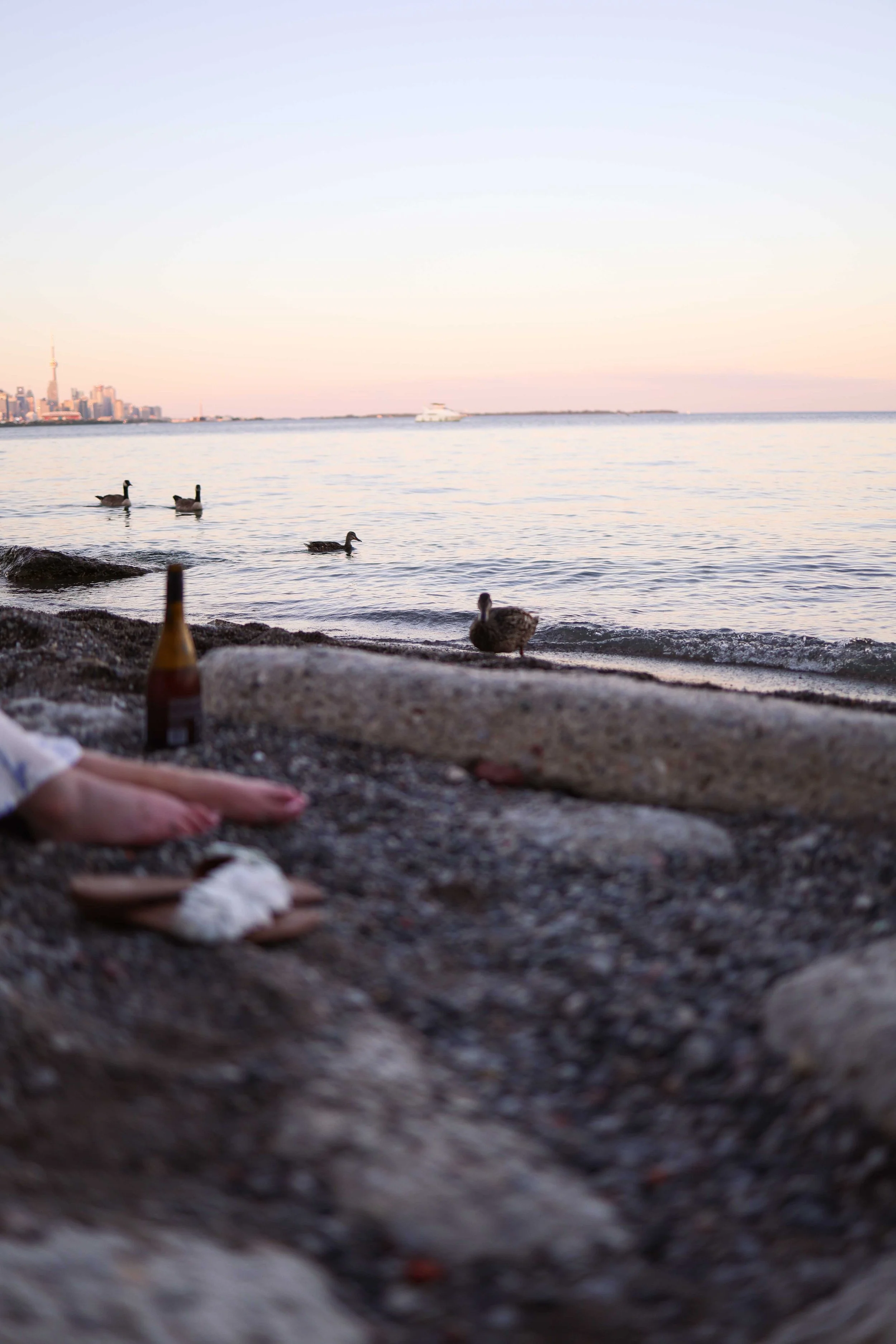 Golden hour engagement photography, Humber Bay Etobicoke